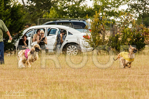 _MJ_5031-AfgBeltonOct2014-HR3