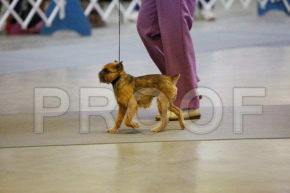 _JJ_2212-AmarilloSept2014-HR3