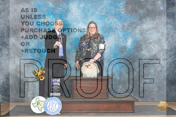 Pekingese #8 Fri WBM Judge Larry Abbott__JP_9464_Abilene_2024_HR3