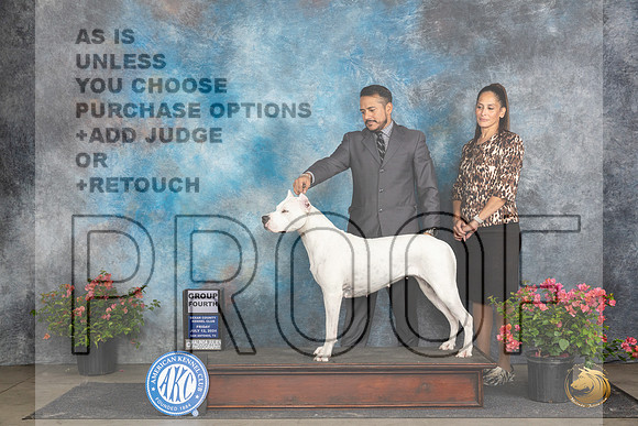 Dogo Argento #12 Fri G4 Judge Wendy G Willhauck__JP_4487_San Antonio_2024_HR3