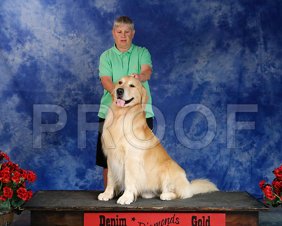 Sylvia-4719-WFOct2013-HR