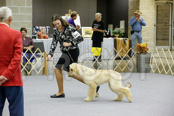 _JJ_8578-AfgBeltonOct2014-HR3
