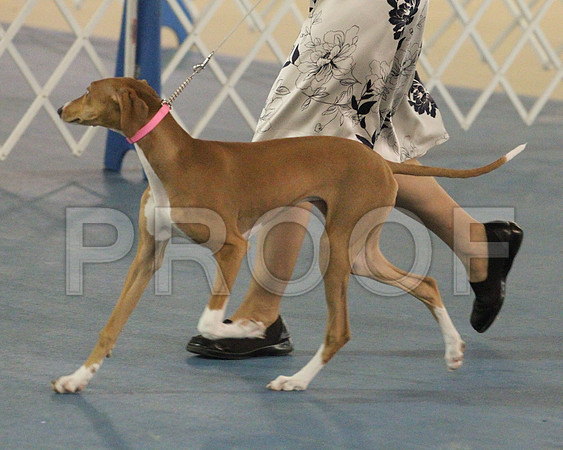 AZ-8746