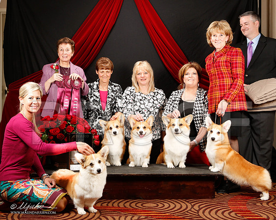 _ST_3427-2-HstnCorgiFeb2015-HR3