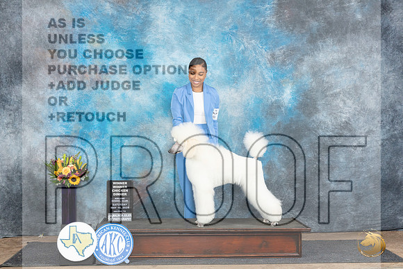 Poodle Std #10 Sat__JP_9894_Abilene_2024_HR3