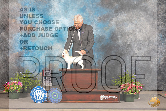 Chihuahua Long Coat #11 Fri BOS Judge Allen Odom_MJ_0050_SA_2022_HR3