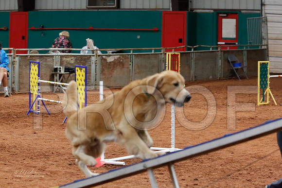 StdOpen24-6425-WFOct2013-HR