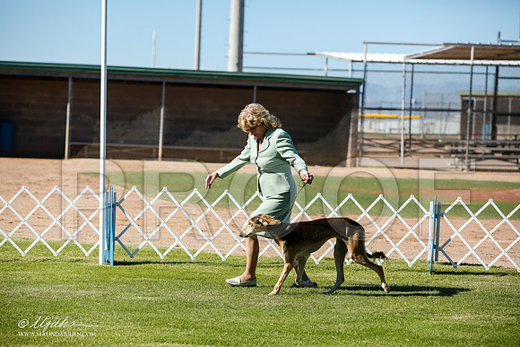 _JN_5738-AlamogordoOct2014-HR3