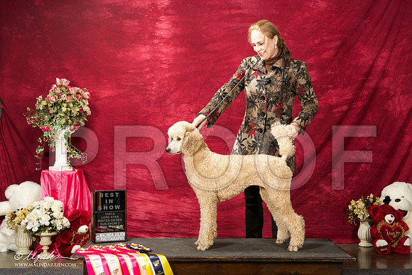 _ST_3031-BeltonJan2015IABCA-HR3