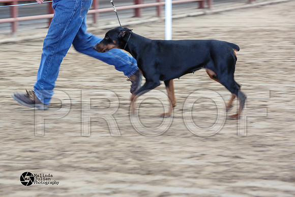 MJ2_0954-WacoFeb14-HR