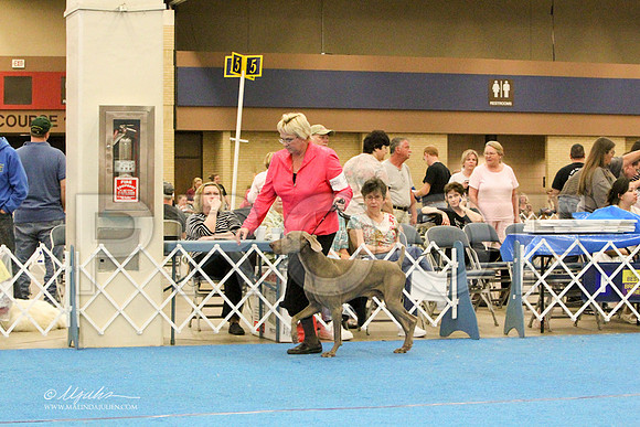 GrpSportSat-3977LR
