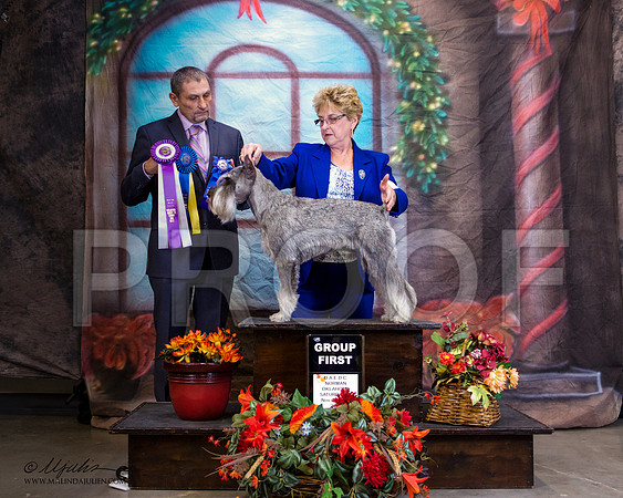 _ST_7135-NrmnNov2014-HR3