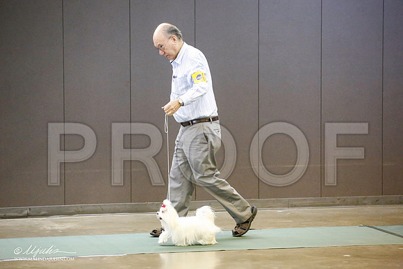 _JN_5746-BeltonJan2015-HR3