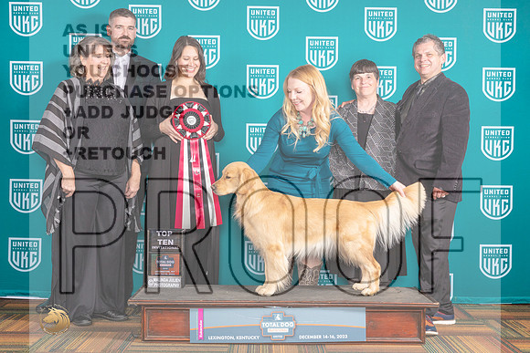 Golden Retriever #101 Sat TopTen4-_JP_8979e_UKCTDI2023-HR3