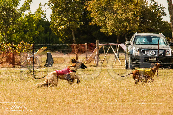 _MJ_5401-AfgBeltonOct2014-HR3