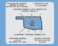 Toy Dog Specialities OKC June 2019