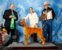 #139 Wed Best Puppy C;aore Sat;pf Keffreu Bedrocl Tero Tevlin Judge David Frei