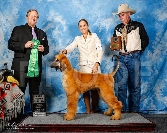 _ST_4588-2-AfgBeltonOct2014-HR3