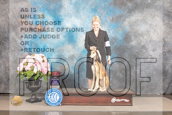 Saluki #16 Sat BOS Judge Barbara Alderman_MJ_7317_Houston_2022_HR3