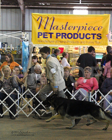 Group Herding Saturday - 0021