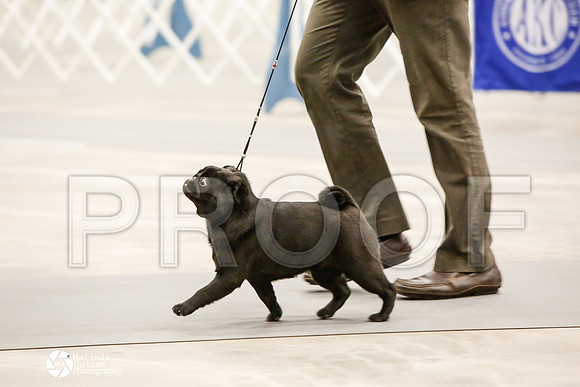 _CK_5976-AblnMay2014-web