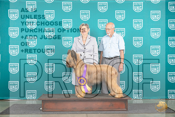 Briard #860 Wed BISS Judge Jennifer Landers__JP_1532_Premier_2024_HR3