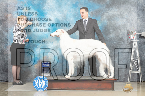 Borzoi #11 Sun G1 Judge Sharon Derrick_MJ_5130_Amarillo_2022_HR3