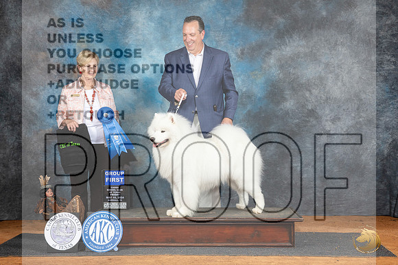 Samoyed #5 Fri G1 Judge Karen Hynnek__JP_7269_MARSHALL_2024_HR3