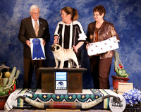 Pug #21 Sun G1 Henricks Mary & Patt Kolesar Stoltz &Rick Stoltz Agent Erin Henlon-Hall Judge C Trotter