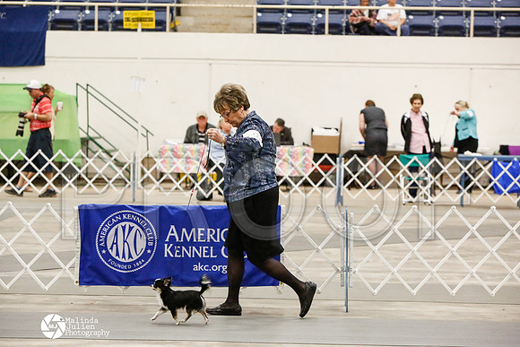 _CK_6730-AblnMay2014-web