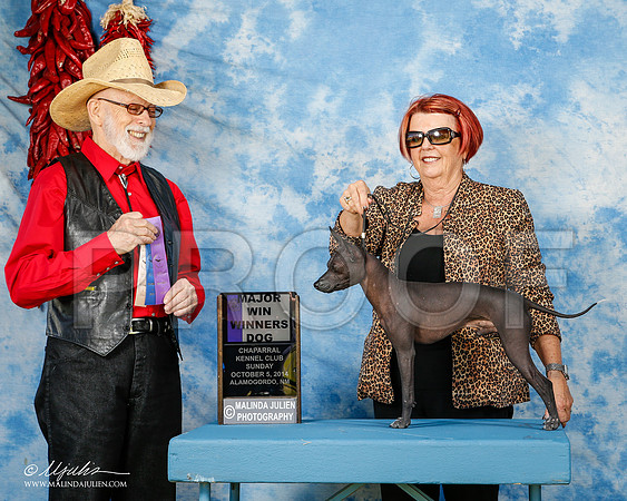_ST_3163-2-AlamogordoOct2014-HR3