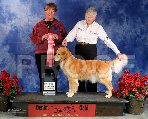 GunDog-9062-WFOct2013-HR
