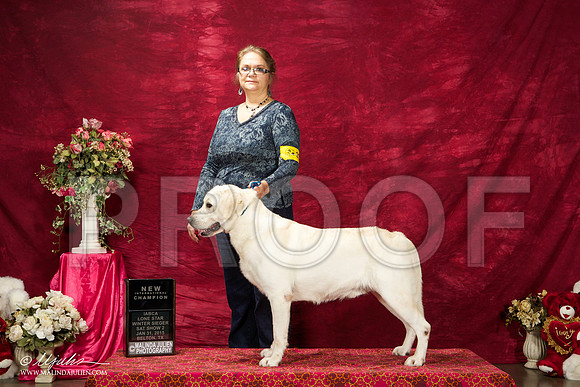 _ST_2732-BeltonJan2015IABCA-HR3