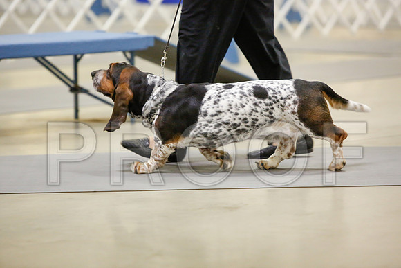 _JN_3025-AmarilloSept2014-HR3