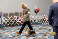 Yorkshire Terrier Wed Grand Sweeps Show 1