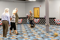 Yorkshire Terrier Wed Super Ultimate Sweeps