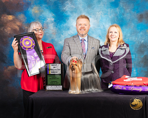 Yorkshire Terrier #27 Thurs BOB BISS Judge Deborah Barrett_SSR_9393-©ToyOKC2019-HR3