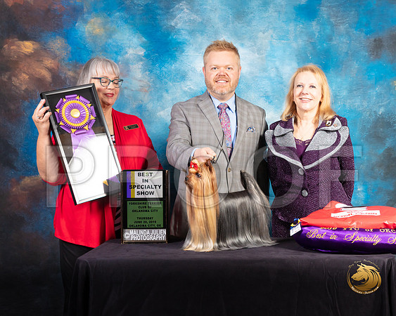 Yorkshire Terrier #27 Thurs BOB BISS Judge Deborah Barrett_SSR_9397-©ToyOKC2019-HR3