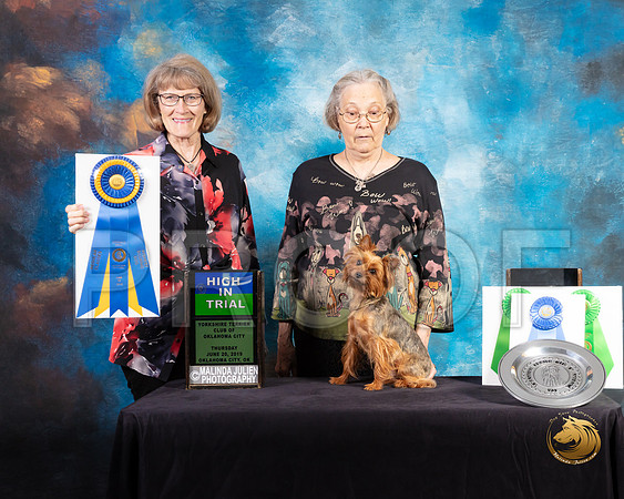 Yorkshire Terrier #5 Thur HIT Judge Nancy Simmons_SSR_9469-©ToyOKC2019-HR3