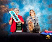 Yorkshire Terrier #55 Thurs AOM Judge Deborah Barrett