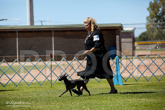 _JJ_8557-AlamogordoOct2014-HR3
