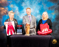 Yorkshire Terrier #27 Thur BOS Judge Janice G Pardue