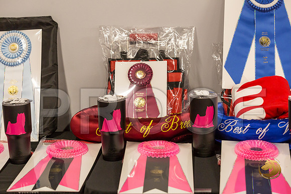 Yorkshire Terrier Thurs Candids Show 1_JJJ_2931-OKCToy2019-HR3