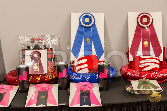 Yorkshire Terrier Thurs Candids Show 1_JJJ_2932-OKCToy2019-HR3