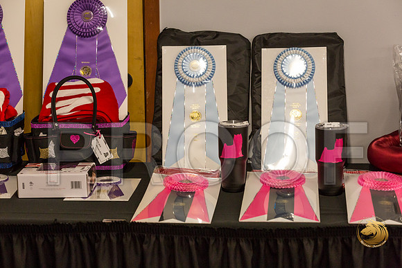 Yorkshire Terrier Thurs Candids Show 1_JJJ_2935-OKCToy2019-HR3