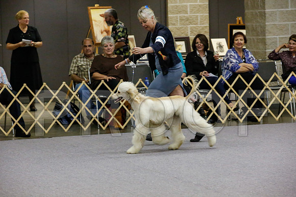 _JJ_9395-AfgBeltonOct2014-HR3