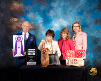 Yorkshire Terrier #33 Fri RWD Judge Fred Bassett