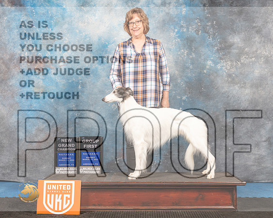 Silken Windhound #262 Sun G1 Judge Pam Moore_MMJ_6585_Addison2022_HR3