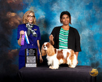 Cavalier King Charles Spaniel #23 Fri 1 BOW Judge SUSAN SHIDLER
