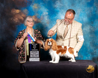 Cavalier King Charles Spaniel #40 Fri 2 Judge DEBORAH BARRETT